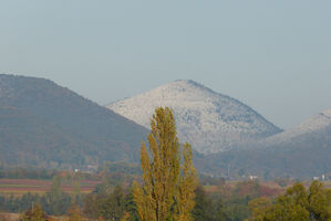 Der Winter kündigt sich an. Rehberg bei Anweiler. Foto: W.T.